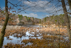winter view of Langsford Pond at Annisquam Woods