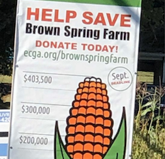 Brown Spring Farm corn thermometer