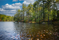 Fall view of Camp Creighton Pond, Middleton