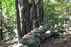 stone wall and woods at Corliss Hill Road, Haverhill