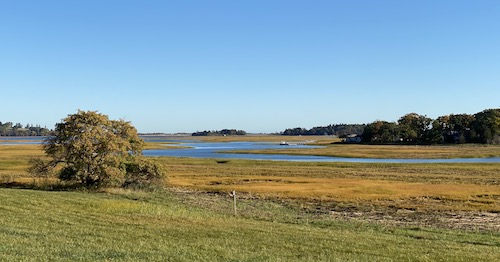 Cox Reservation marsh in fall