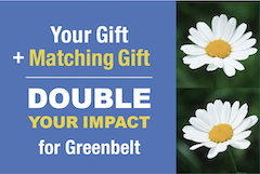 colorful infographic Gift + Matching Gift = Double Impact