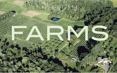 Cover of newsletter, farm photo from the air