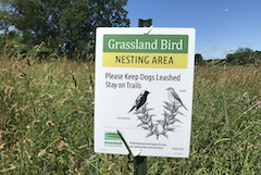 Grassland bird sign in a sunny field