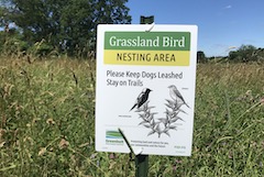 grassland birds sign in field at Cox Reservation
