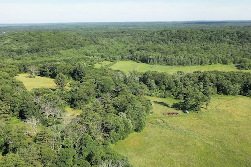 Aerial photo of Kamon Farm, green fields and forest