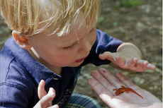 child exploring critters in nature