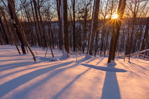 winter sunset on snowy, wooded landscape