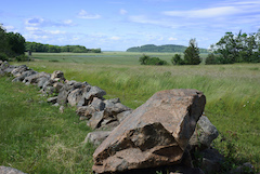 stone wall on spring day at Cox Reservation
