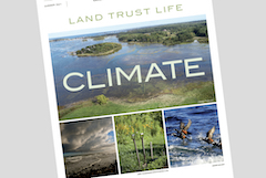 cover of summer 2021 Newsletter: Climate