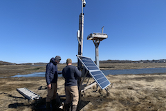 Two men raising an Osprey platform on marsh