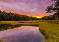 Castle Neck River and marsh at sunset